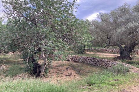 Landejendom i El Perello, Tarragona, El Perello - € 56.000 | Ref: Finca Bitem Joa - foto 11